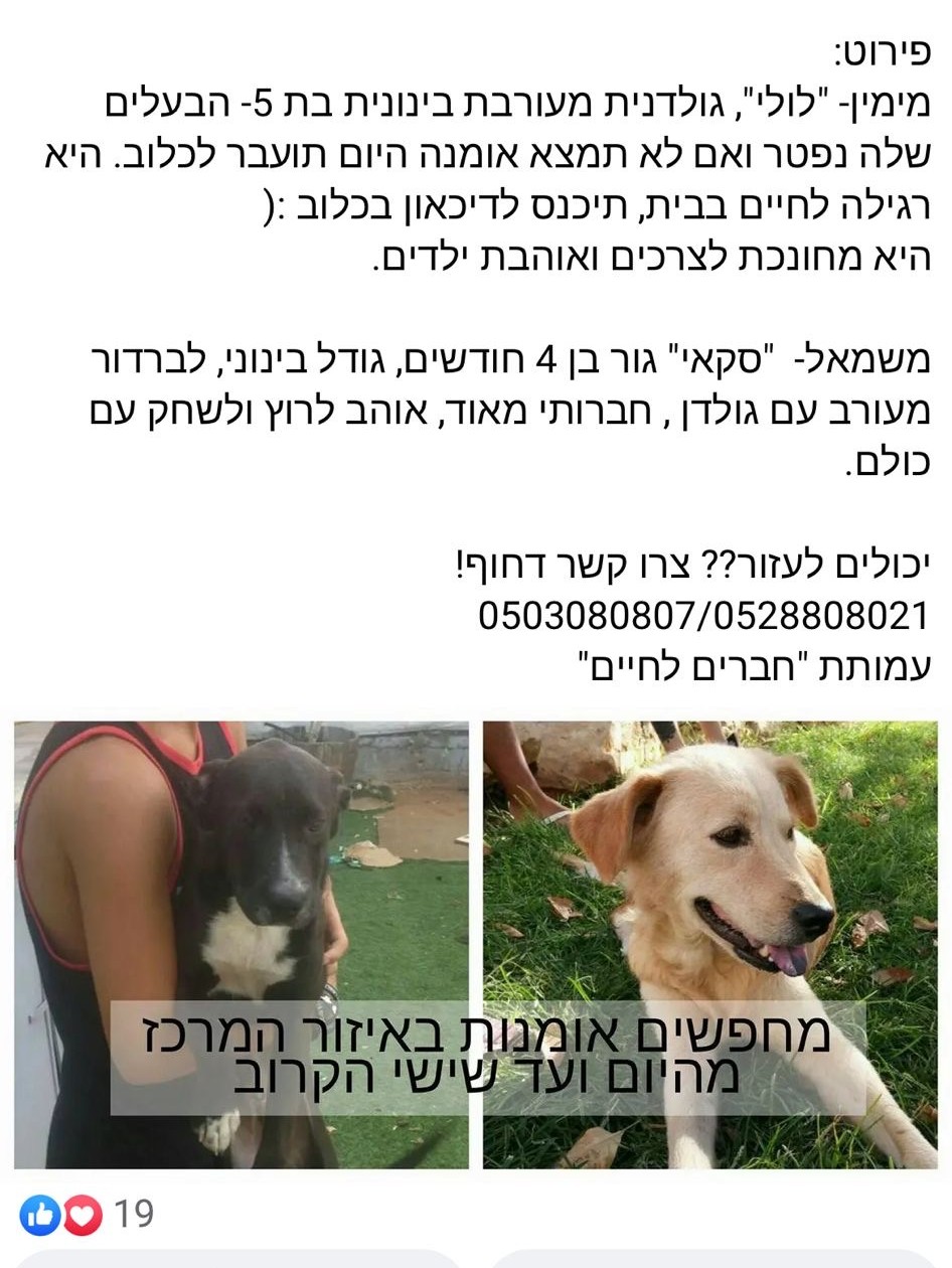 Original adoption post