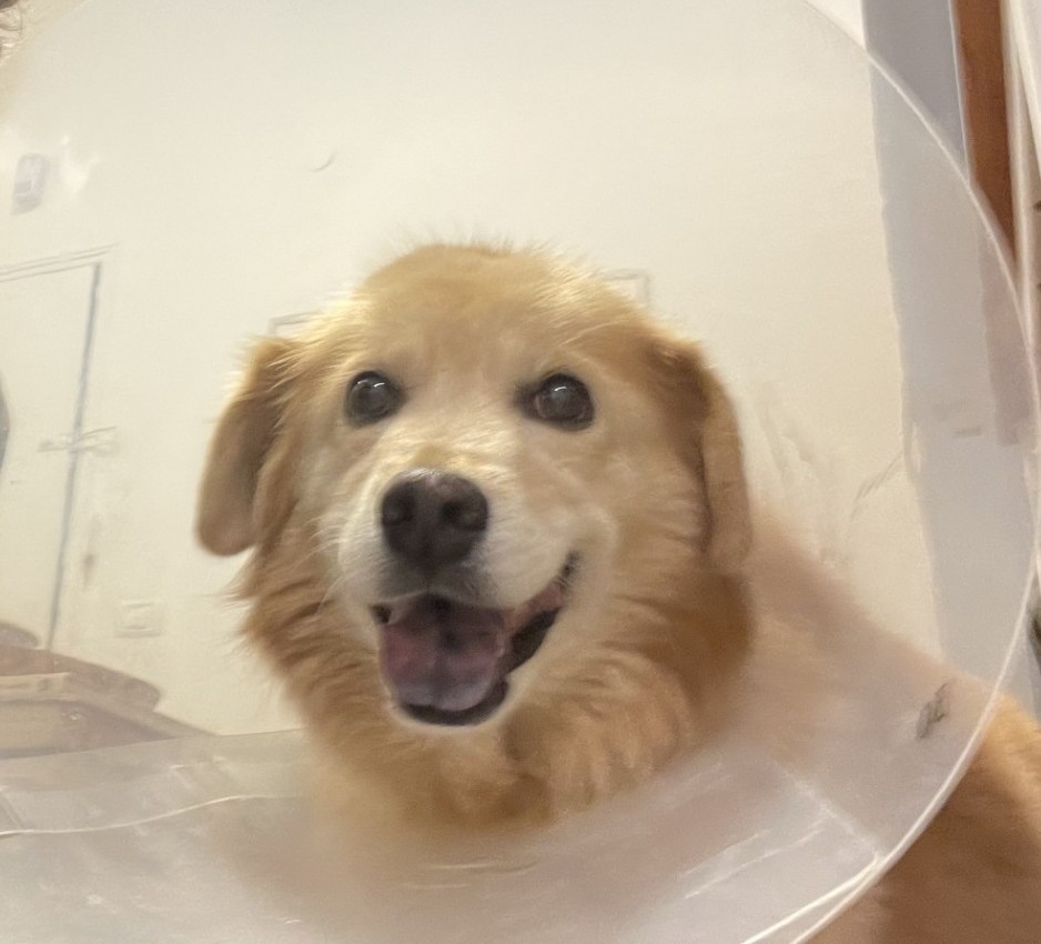 Loli reunited with step-dad